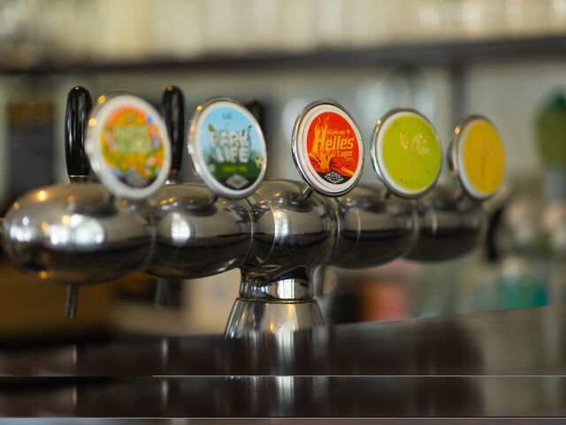 Craft Beer Taps